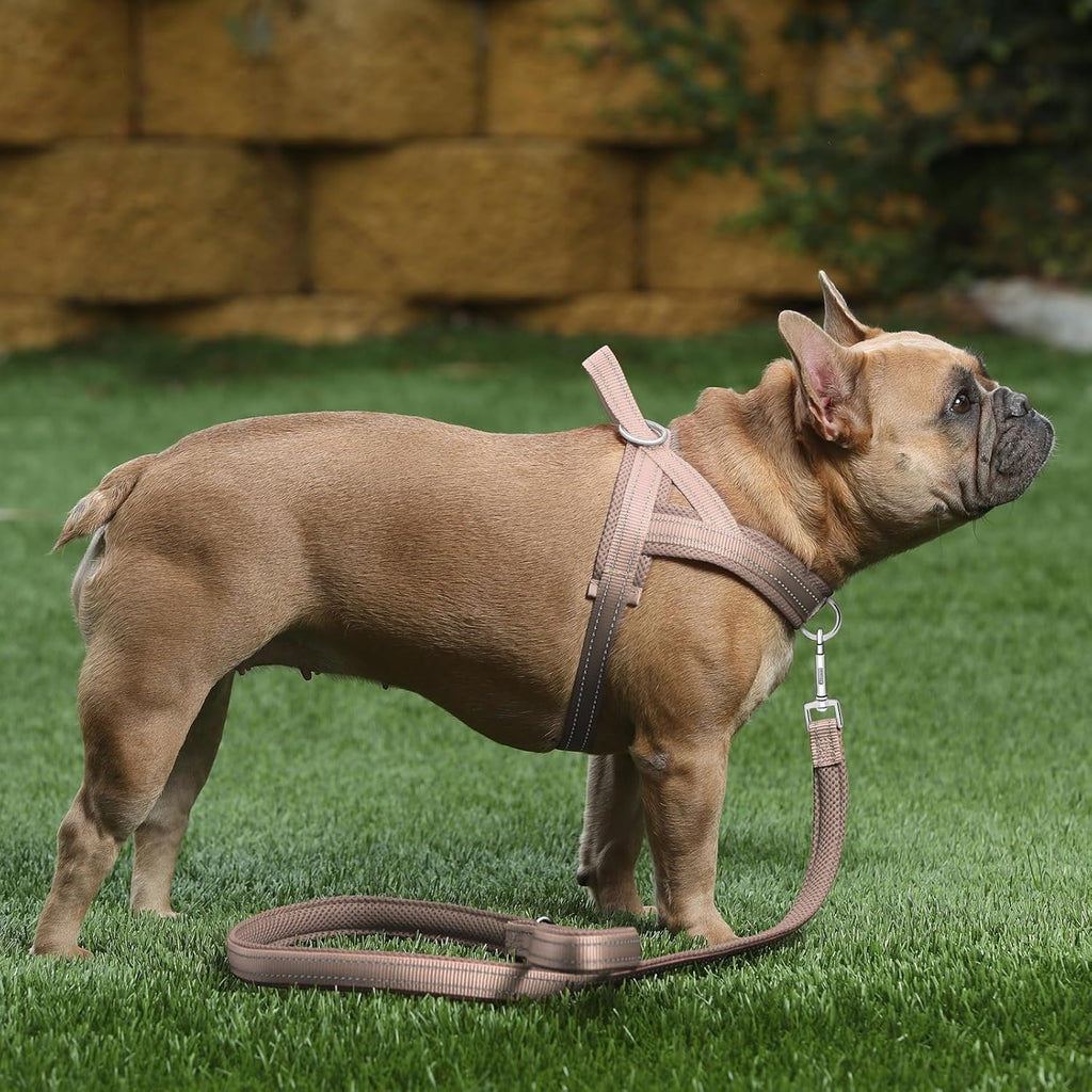 Plutus Pet No Pull Dog Harness for Medium Sized Dog, Breathable Mesh Padded