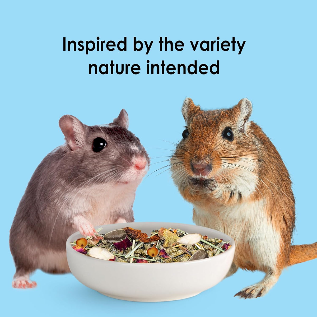 Kaytee Food from the Wild, Pet Hamster Food, 2 Pounds