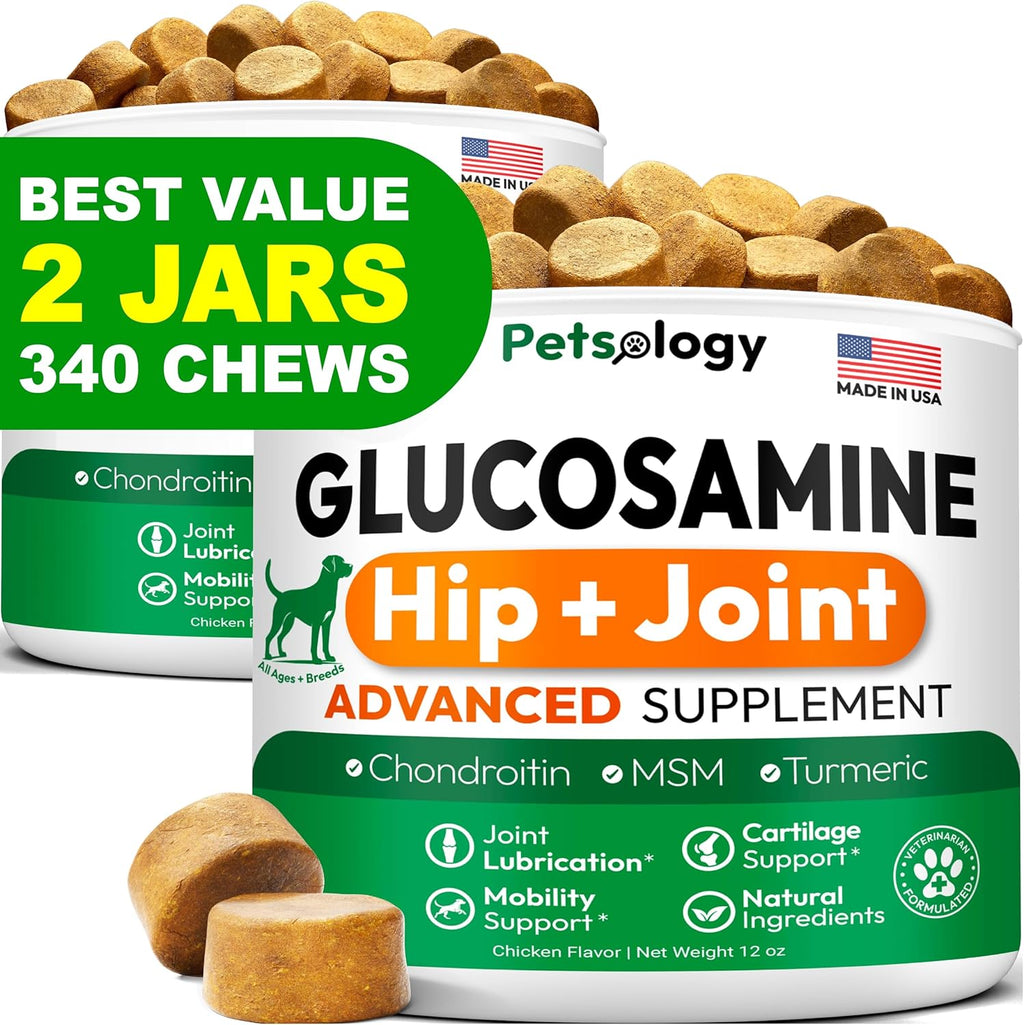 Probiotics for Dogs - 250 Dog Probiotics Chews - Digestive Enzymes Support | Gut Health Support, Diarrhea, Gas & Constipation Relief Supplement, Itchy Skin, Allergies & Yeast Balance, Made in USA