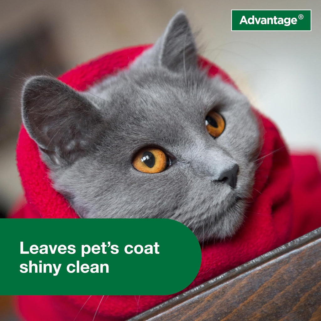 Advantage Cat Flea & Tick Shampoo for Kittens & Adult Cats | Kills Fleas & Ticks | 8 oz.