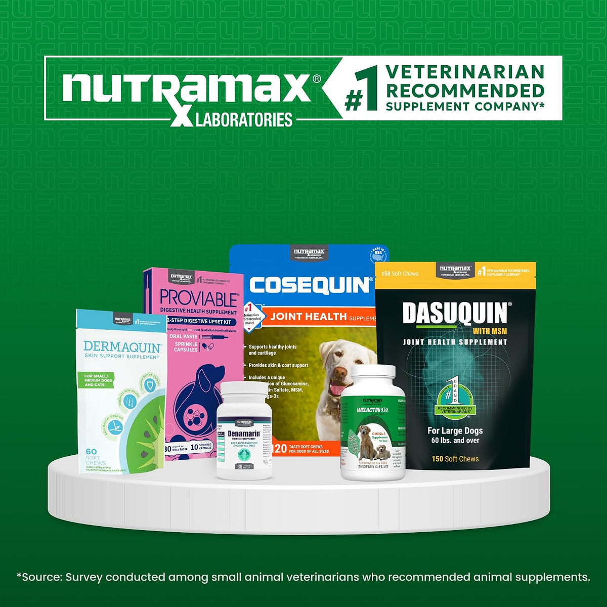 Nutramax Dermaquin Dog Supplement, Soft Chews, 60ct | Skin Health Support for Dogs with Itchy Skin, Supports a Healthy Response to Allergens, Hardy Kiwi, PEA, for Dogs Over 30 lbs