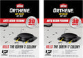 Ortho Orthene Ant Killer Ant Bait, 12 Bait Stations