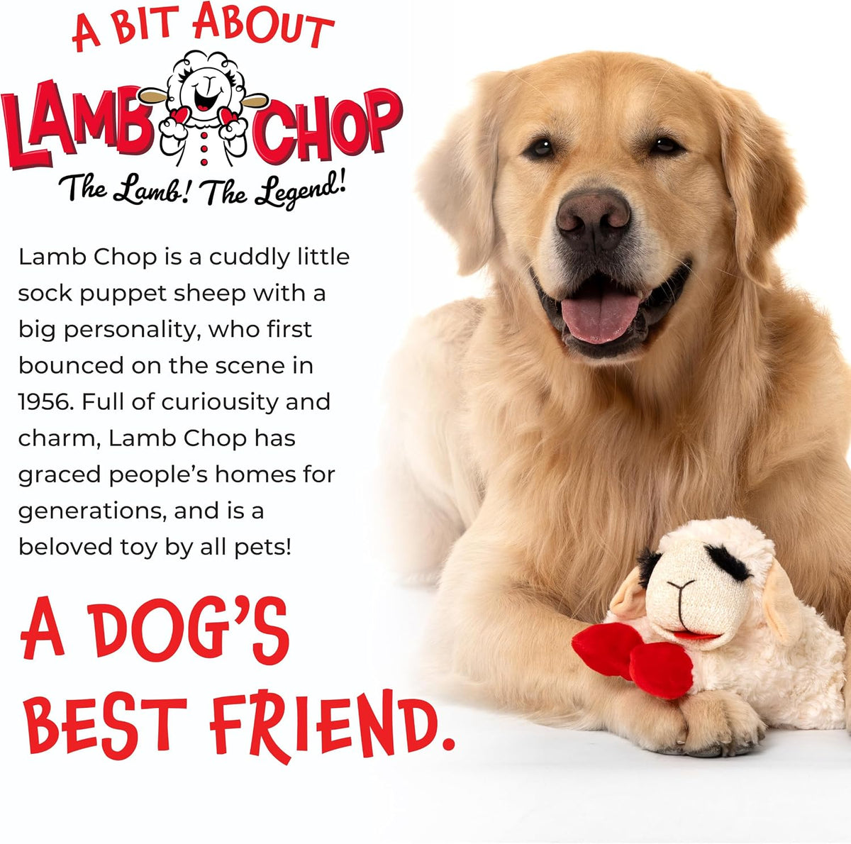 Multipet Lamb Chop Dog Plush Toy - Squeaky Toy for All Dogs - Extra Soft Plush - Stuffed Animal for Cuddling & Playing - Jumbo (24", Cream)