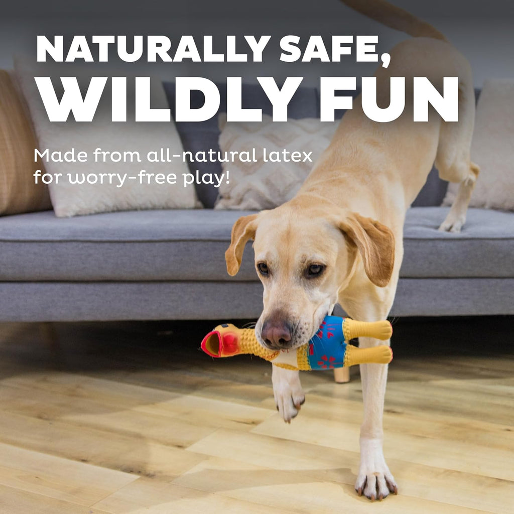 Outward Hound Squawkers Squeaky Latex Dog Toy, Earl, 11.4" | Classic Rubber Chicken in a Swimsuit, Silly Squawking Sound, Interactive Fetch, Indoor Outdoor, Light Chewers, Dogs & Puppies