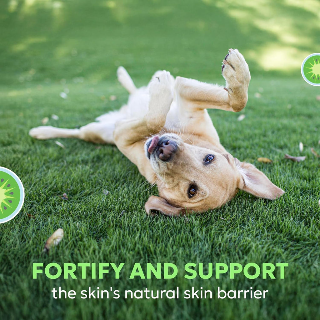 Nutramax Dermaquin Dog Supplement, Soft Chews, 60ct | Skin Health Support for Dogs with Itchy Skin, Supports a Healthy Response to Allergens, Hardy Kiwi, PEA, for Dogs Over 30 lbs