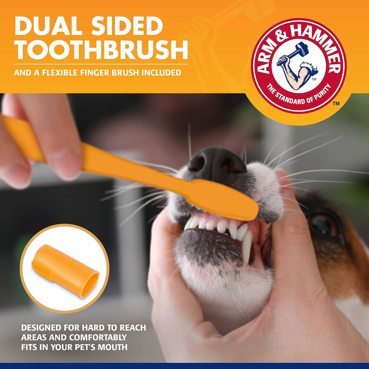 Arm & Hammer Tartar Control Dog Dental Kit, Beef Flavor, 3-Piece