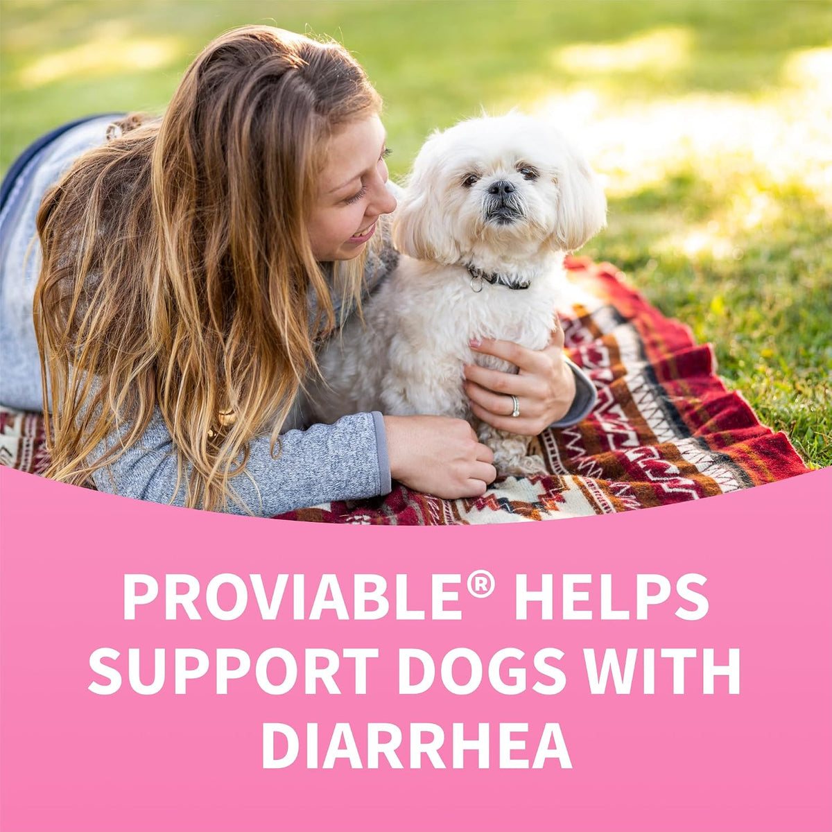 Nutramax Proviable Probiotics + Prebiotics for Dogs, Diarrhea Support Kit