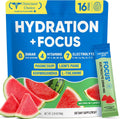 Venture Pal Sugar Free Hydration + Focus Electrolyte Packets, 16 Sticks