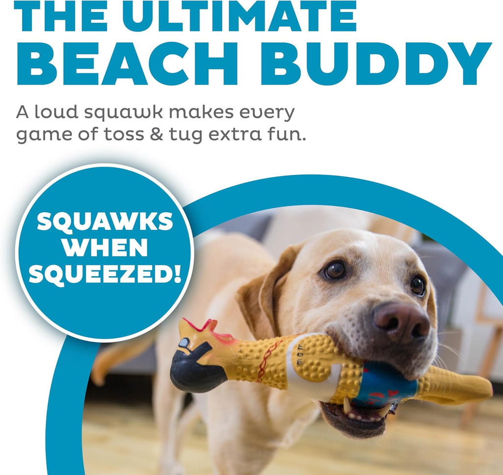 Outward Hound Squawkers Squeaky Latex Dog Toy, Earl, 11.4" | Classic Rubber Chicken in a Swimsuit, Silly Squawking Sound, Interactive Fetch, Indoor Outdoor, Light Chewers, Dogs & Puppies