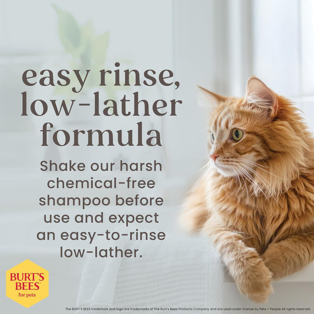 Burts Bees for Pets Hypoallergenic Cat Shampoo, Unscented, 10 Fl Oz