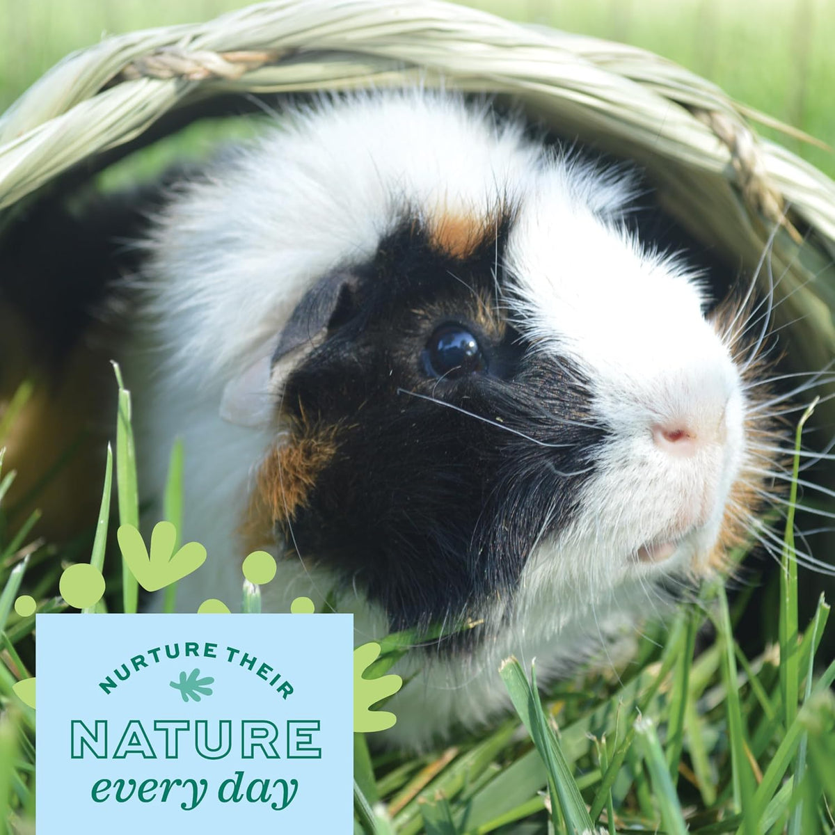 Oxbow Timothy Hay Tunnel, Guinea Pig Hideout, Rabbit & Bunny Tunnel, Edible