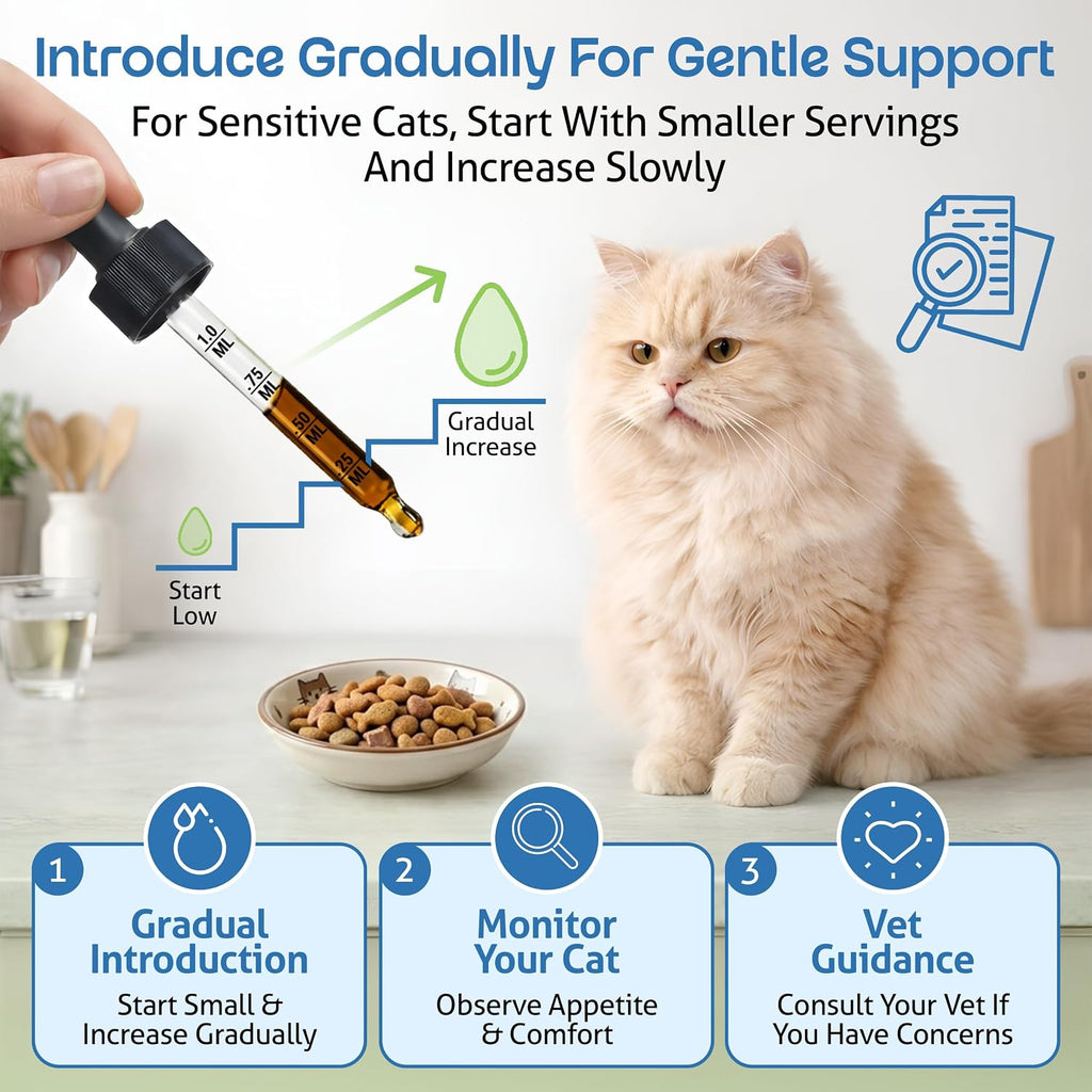 Pet Wellbeing Kidney Support Gold for Cats - Kidney Care & Hydration, 2 oz