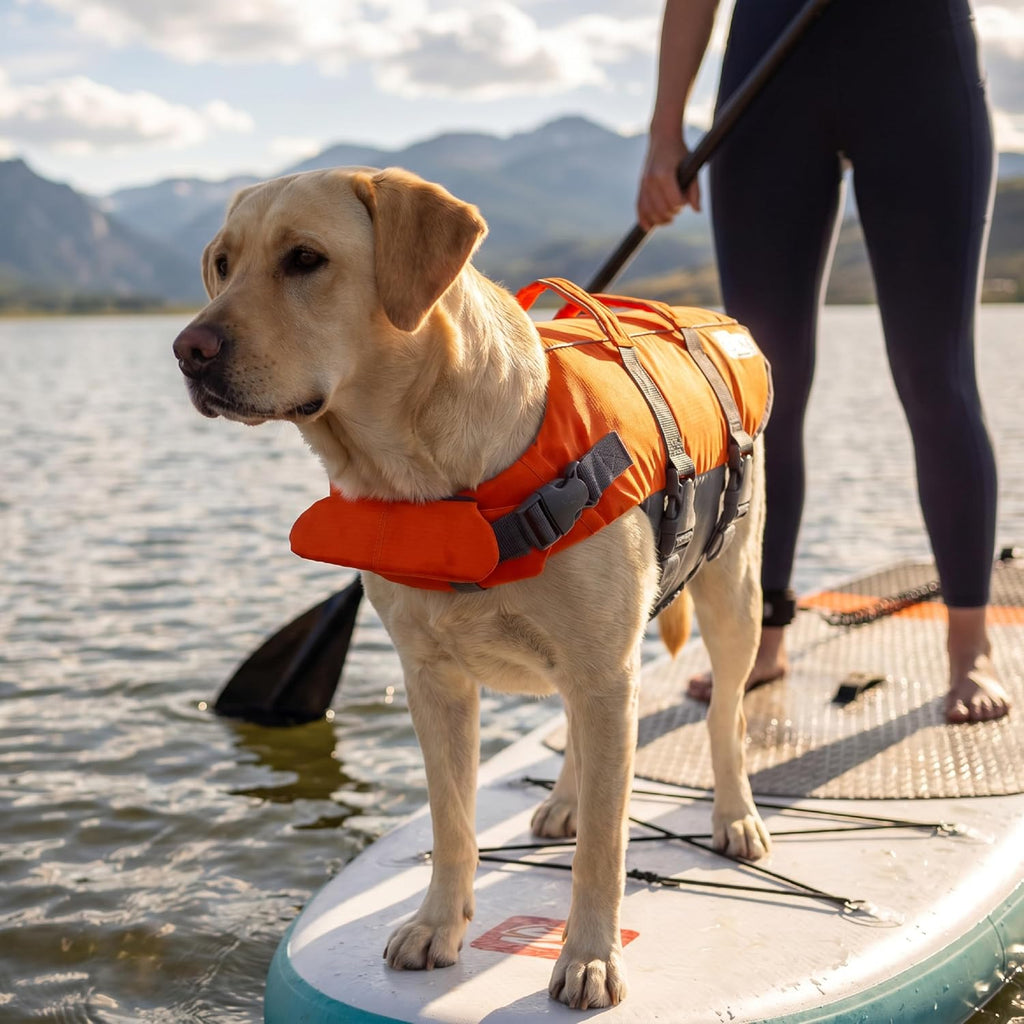 Outward Hound Granby Splash Dog Life Jacket, Life Vest, Orange, Large