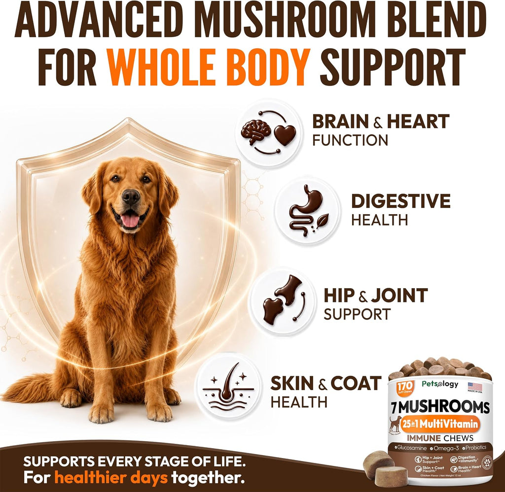 Turkey Tail Mushroom for Dogs - 170 Chews - Lion's Mane, Shiitake & Reishi