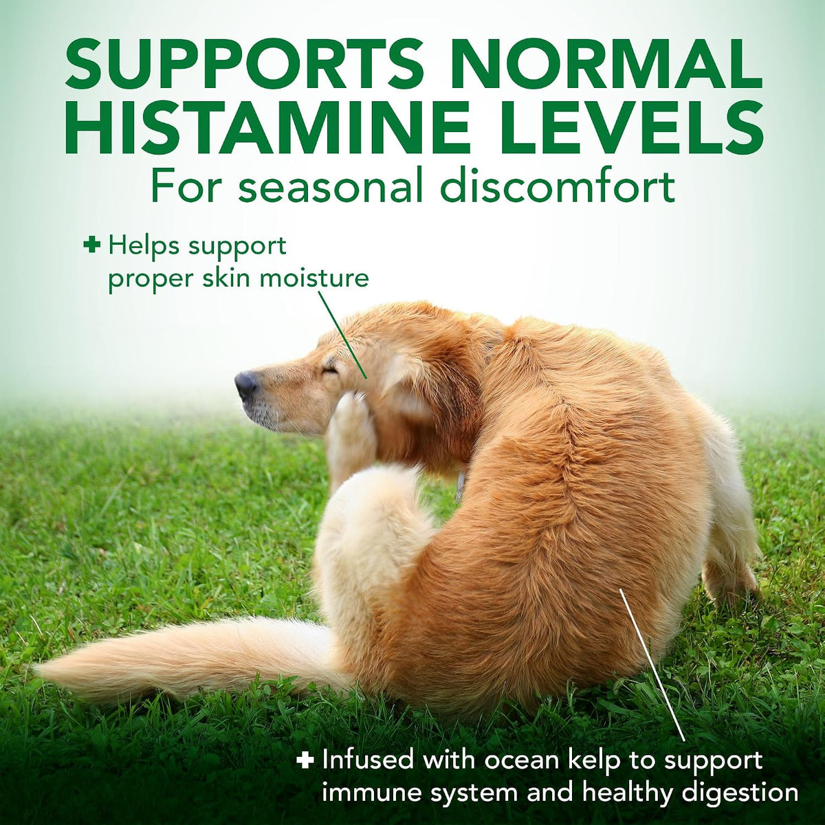 Vet's Best Seasonal Allergy Chewable Tablets for Dogs, Soothes Dog, 60ct | Seasonal Allergy Relief Tablets, Helps Soothe Itchy Skin, Supports Healthy Skin & Coat, Daily Chewable Formula