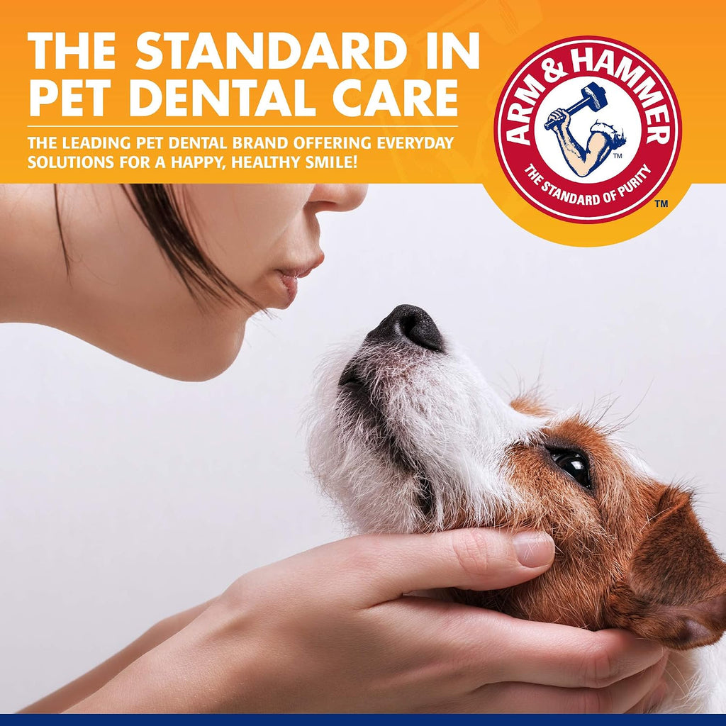 Arm & Hammer Tartar Control Dog Dental Kit, Beef Flavor, 3-Piece