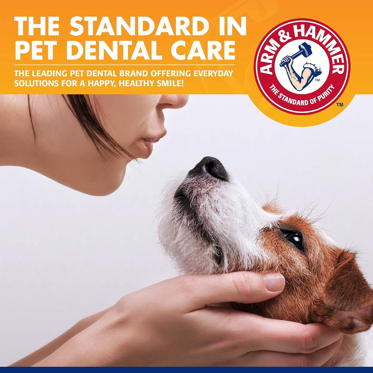 Arm & Hammer Tartar Control Dog Dental Kit, Beef Flavor, 3-Piece