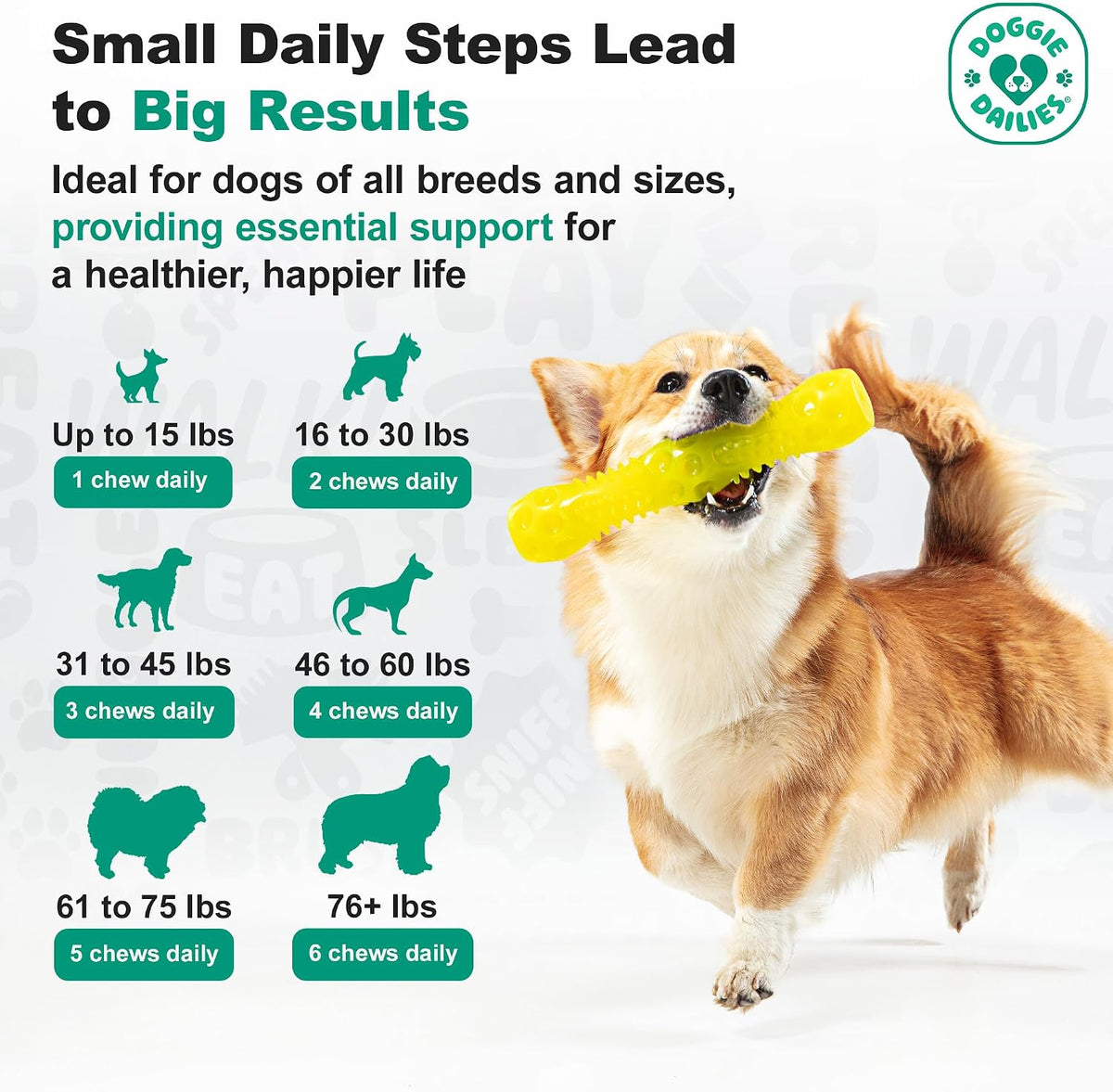 Doggie Dailies Probiotic Soft Chews for Dogs, Pumpkin, 225 Count