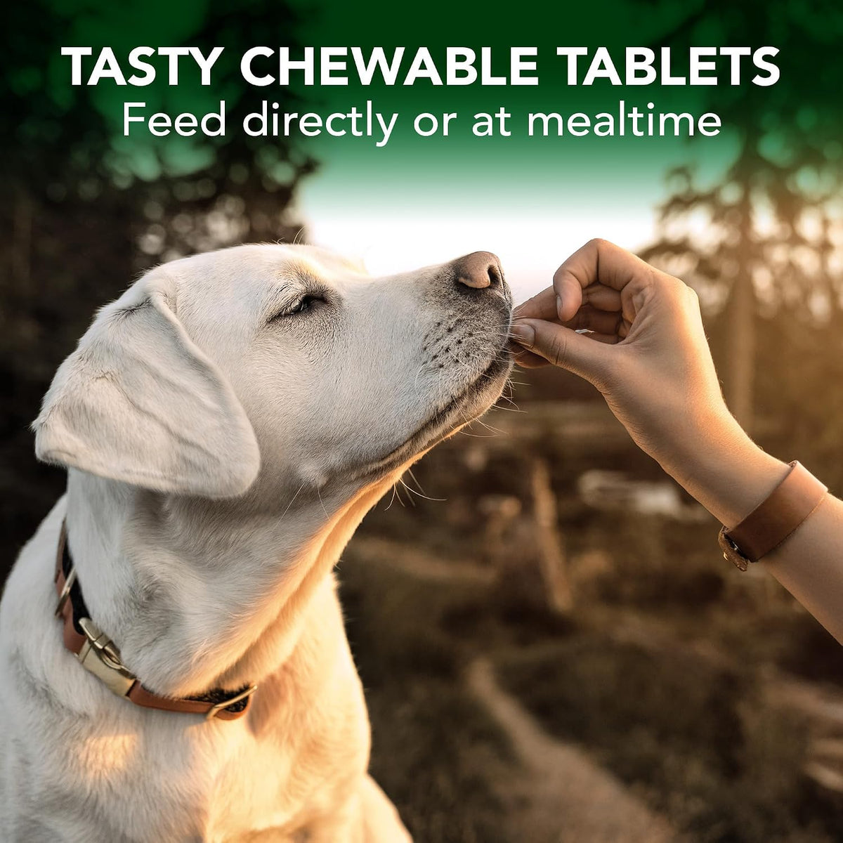 Vet's Best Seasonal Allergy Chewable Tablets for Dogs, Soothes Dog, 60ct | Seasonal Allergy Relief Tablets, Helps Soothe Itchy Skin, Supports Healthy Skin & Coat, Daily Chewable Formula