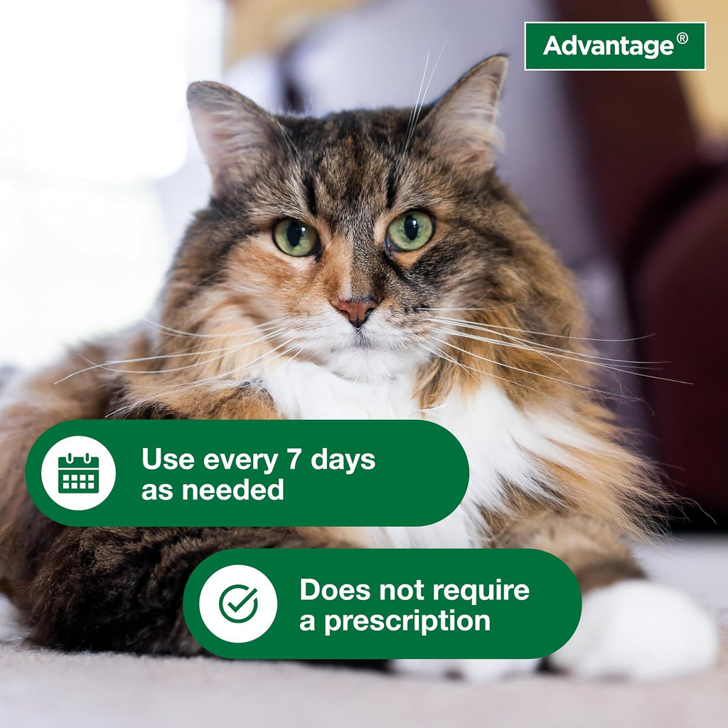 Advantage Cat Flea & Tick Shampoo for Kittens & Adult Cats | Kills Fleas & Ticks | 8 oz.