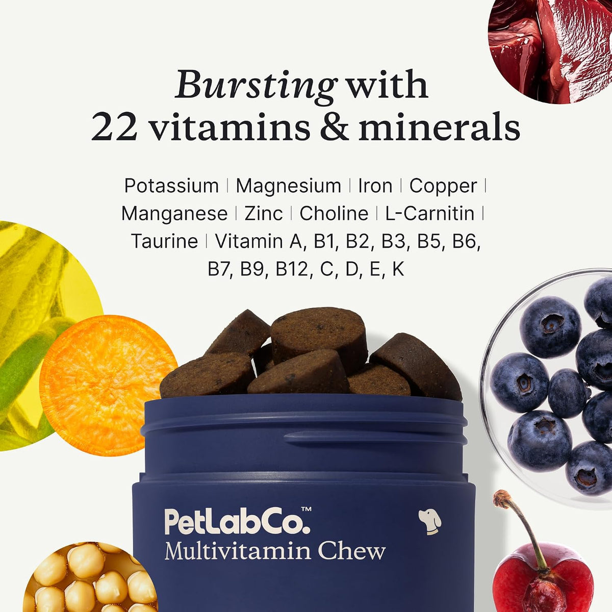 PetLab Co. 22-in-1 Multivitamin Chews for Dogs, Pork Flavor