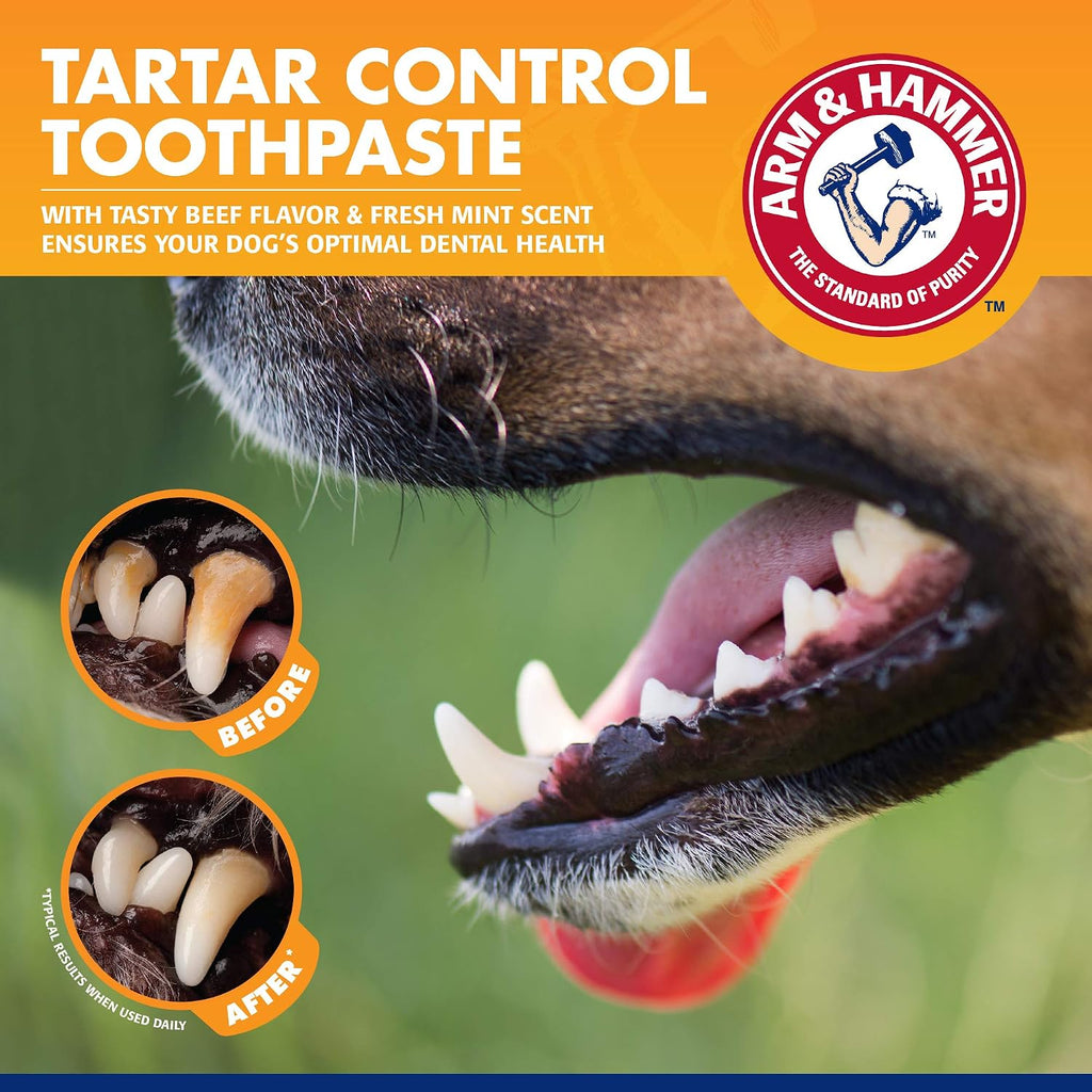 Arm & Hammer Tartar Control Dog Dental Kit, Beef Flavor, 3-Piece