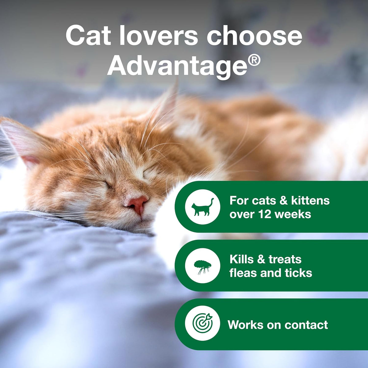 Advantage Cat Flea & Tick Shampoo for Kittens & Adult Cats | Kills Fleas & Ticks | 8 oz.