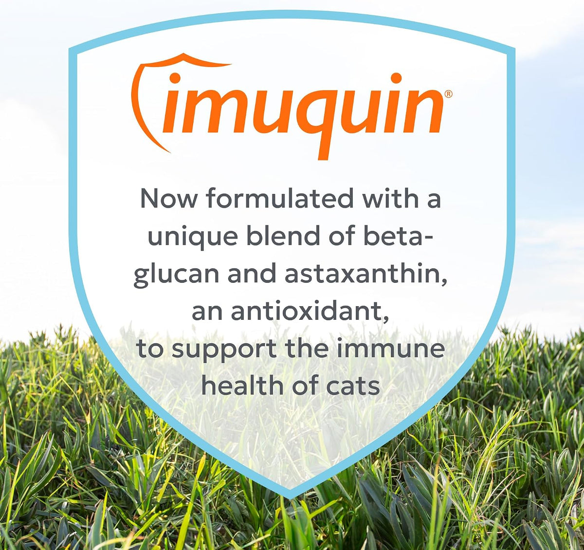 Nutramax Imuquin Immune Health Cat Supplements, Easy Sprinkle Capsule, 30ct