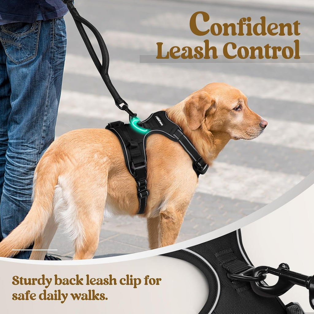 rabbitgoo Dog Harness, No Pull for Large Dogs with 2 Leash Clips, Pet Vest