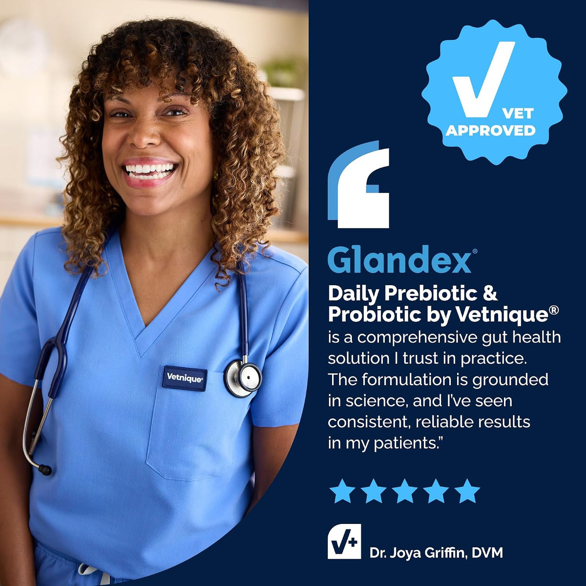 Vetnique Glandex Probiotics for Dogs 60ct Soft Chews, Prebiotics & Enzymes