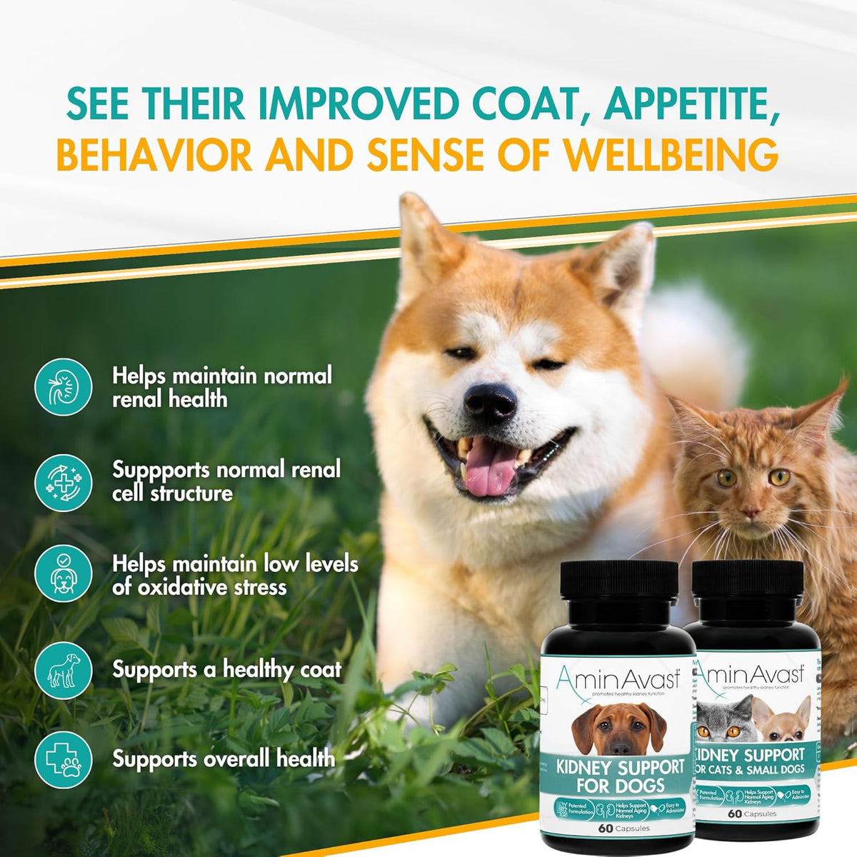 AminAvast 300mg Kidney Support for Cats & Small Dogs, 60 Sprinkle Capsules