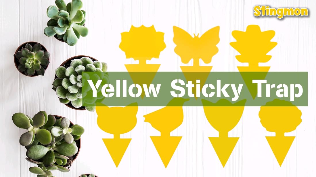 Yellow Sticky Fruit Fly Trap 54 Pack, Gnat Traps for Indoor House Plants