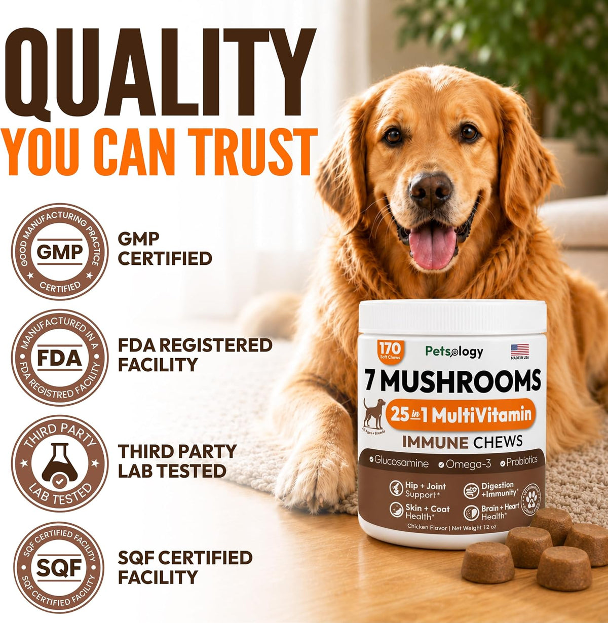 Turkey Tail Mushroom for Dogs - 170 Chews - Lion's Mane, Shiitake & Reishi