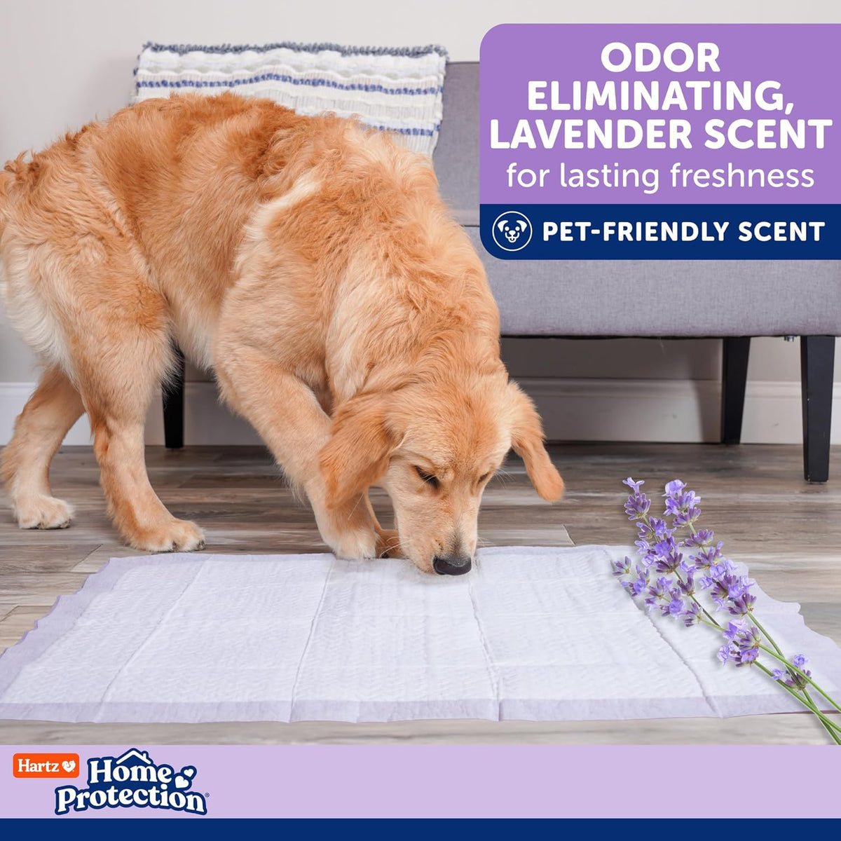 Hartz Home Protection Lavender Scented Odor Eliminating Dog Pads, 50 Count