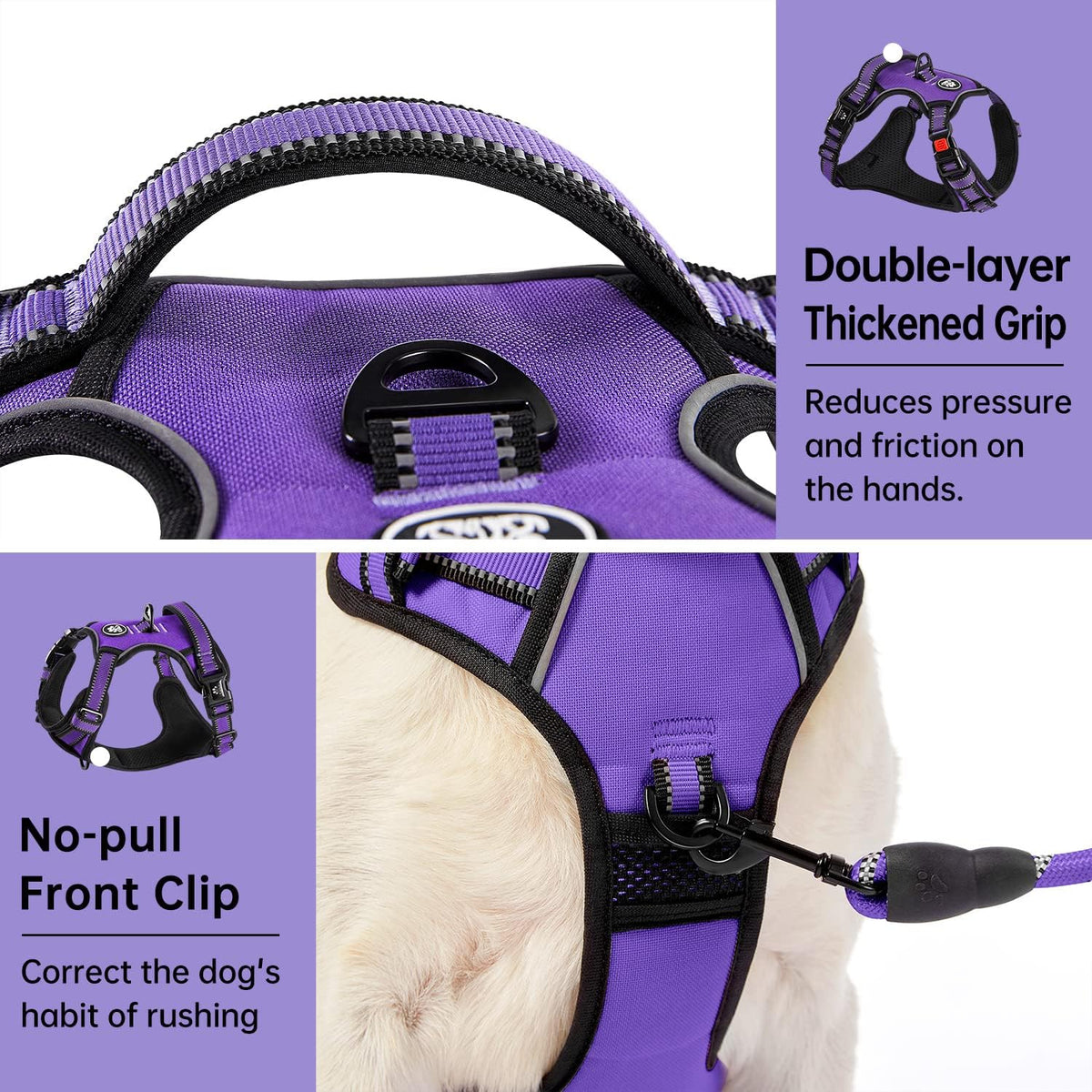 IVY&LANE No Pull Dog Harness for Medium Dogs, Dog Vest Harness with Leash, Safety Belt and Storage Strap, Fully Adjustable Harness, 360° Reflective Strip, Soft Handle (Purple, M)