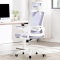 Fizzin Office Chair Mesh Computer Chairs with Adjustable Lumbar Support
