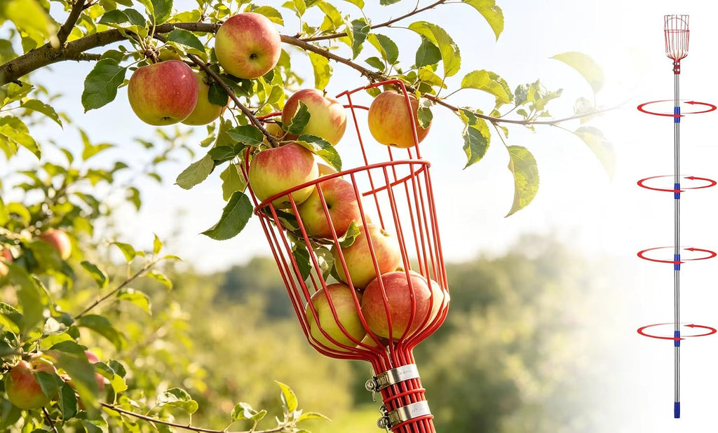 DonSail Fruit Picker Pole Tool with Basket Long Handle, 35-65 Inch Adjustable Apple Orange Picker Pole Tool with Basket for Avocado Acorn Lemon Pear Mango Tree Picker
