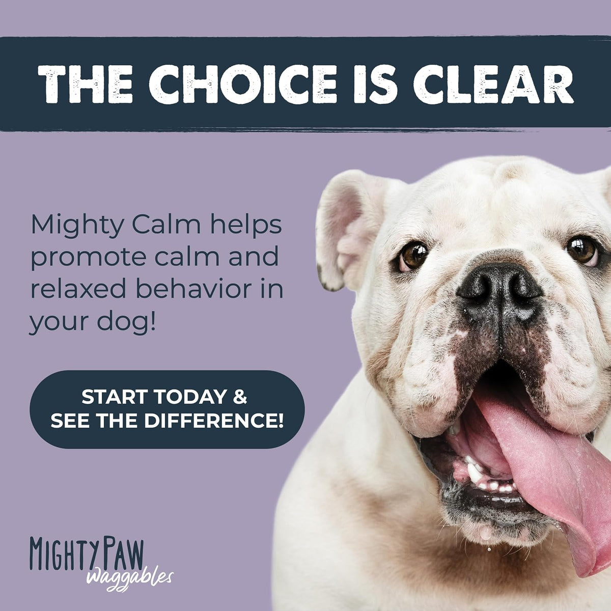 Mighty Paw Calming Chews for Dogs with Melatonin, Waggables, 120 Count
