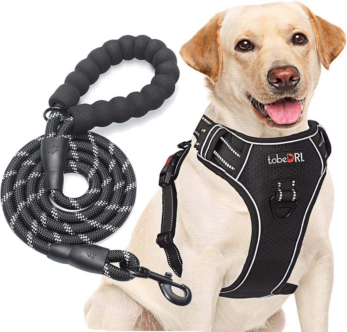 tobeDRI No Pull Dog Harness Adjustable Reflective Oxford Easy Control Medium Large Dog Harness with A Free Heavy Duty 5ft Dog Leash, Blue, L