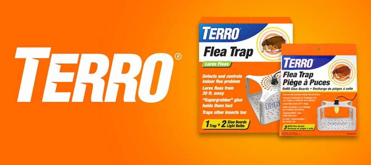 TERRO Flea Trap Refill Glue Cards, 3-Pack