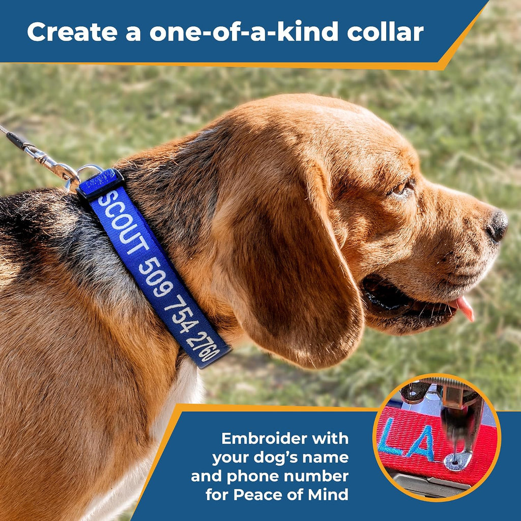 GoTags Personalized Dog Collar, Custom Embroidered with Pet Name and Number