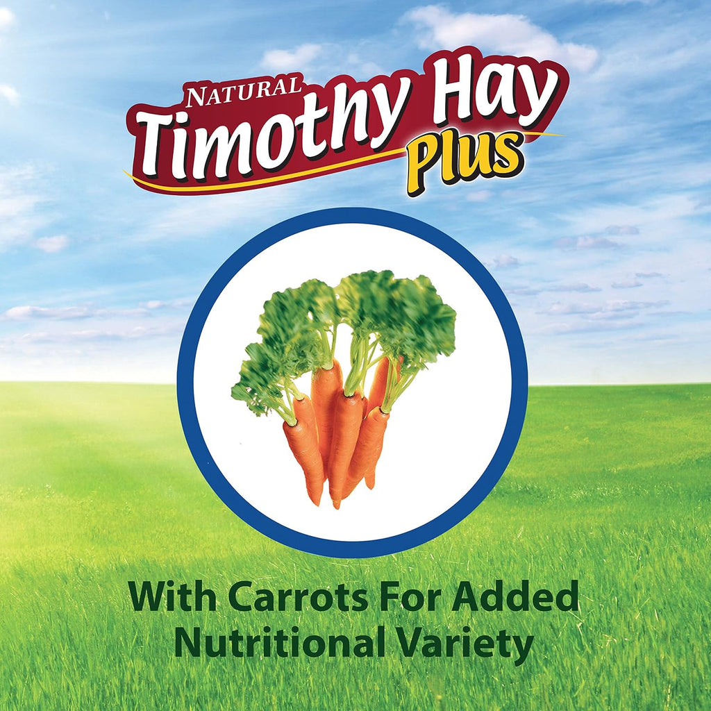 Kaytee All Natural Timothy Hay Plus Carrots for Guinea Pig & Rabbit