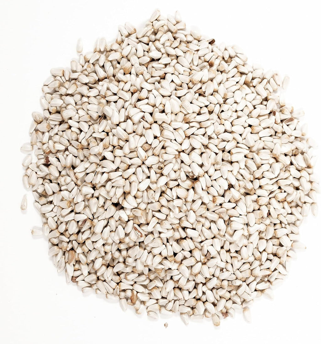 Wagner's 57075 Safflower Seed Wild Bird Food, 5 Pound (Pack of 1)
