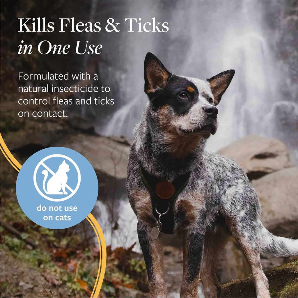 Veterinary Formula Flea & Tick Spray for Dogs, 8 oz, Kills on Contact
