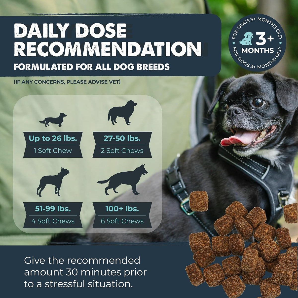 Mighty Paw Calming Chews for Dogs with Melatonin, Waggables, 120 Count