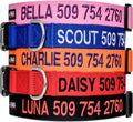 GoTags Personalized Dog Collar, Custom Embroidered with Pet Name and Number