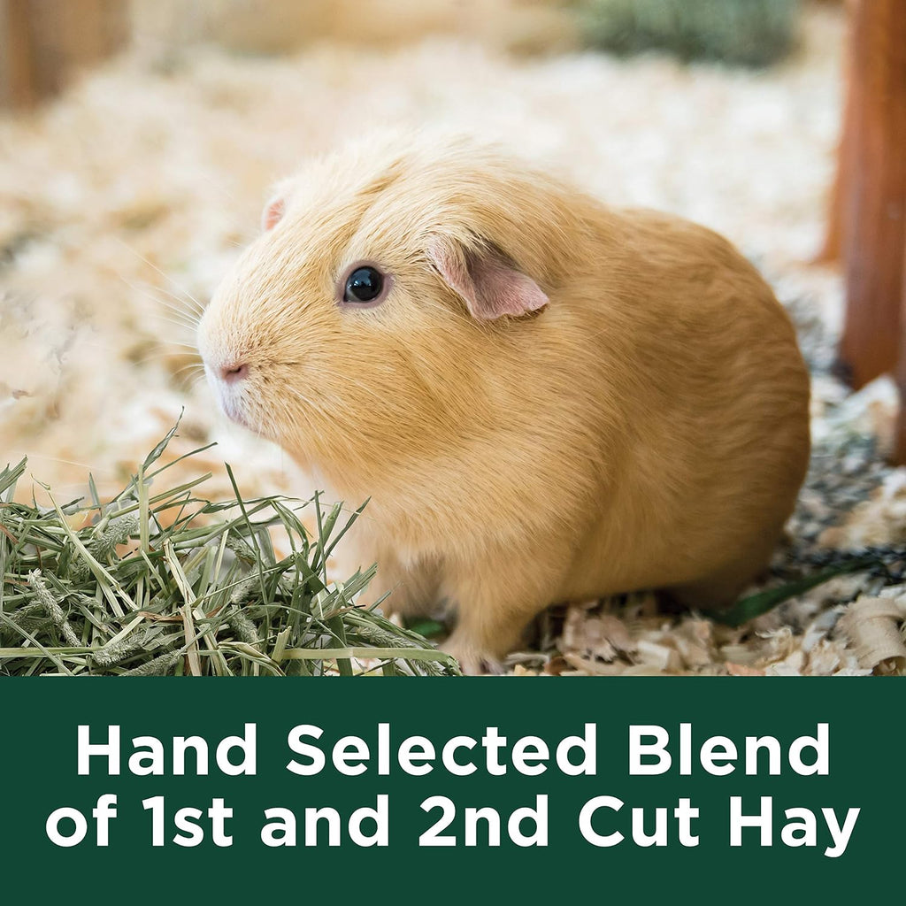 Kaytee All Natural Timothy Hay Plus Carrots for Guinea Pig & Rabbit