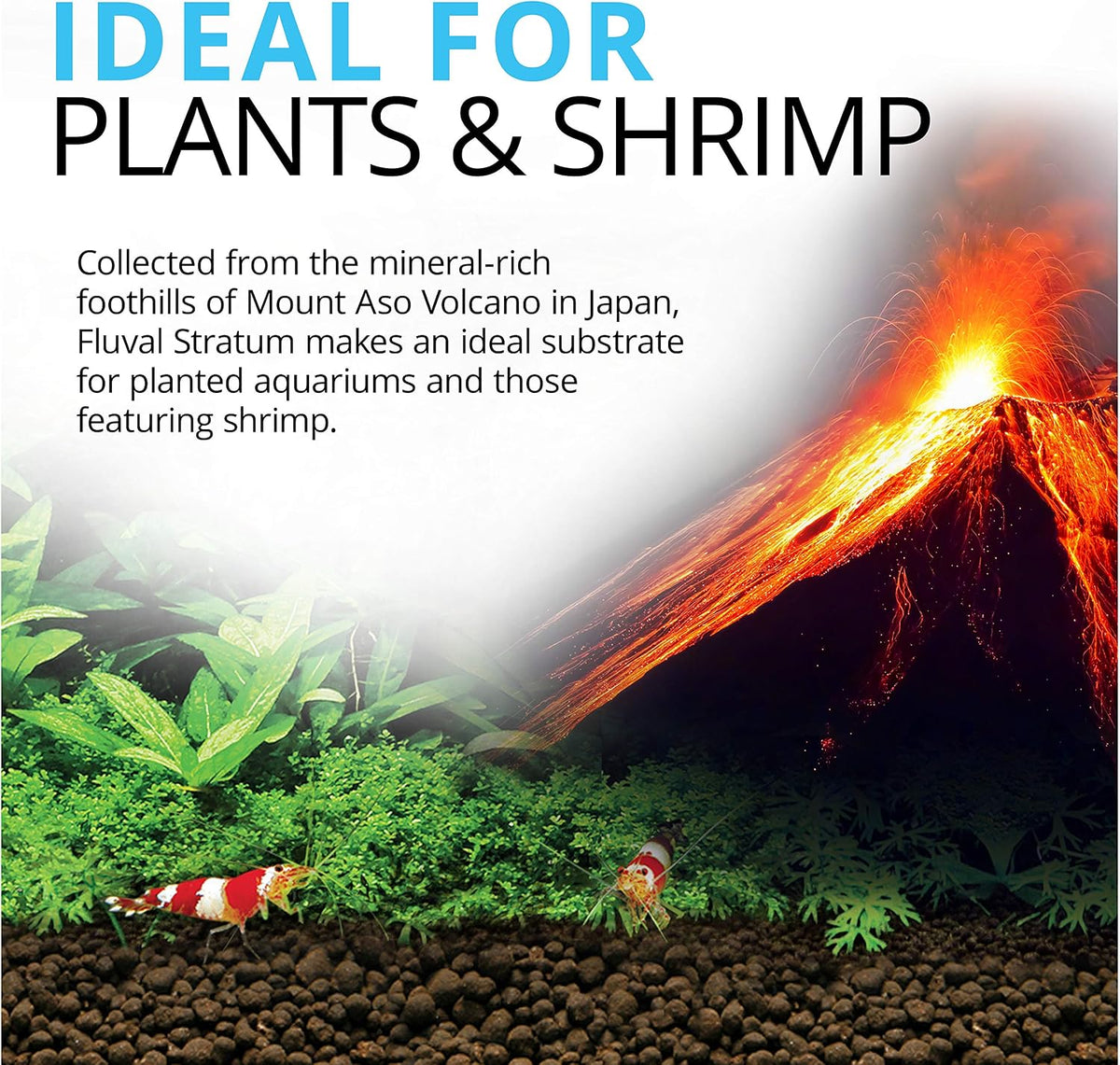 Fluval 12694 Plant and Shrimp Stratum for Freshwater Fish Tanks, 8.8 lbs.