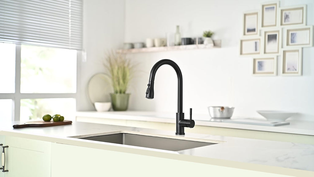 GIMILI Kitchen Faucet with Pull Down Sprayer