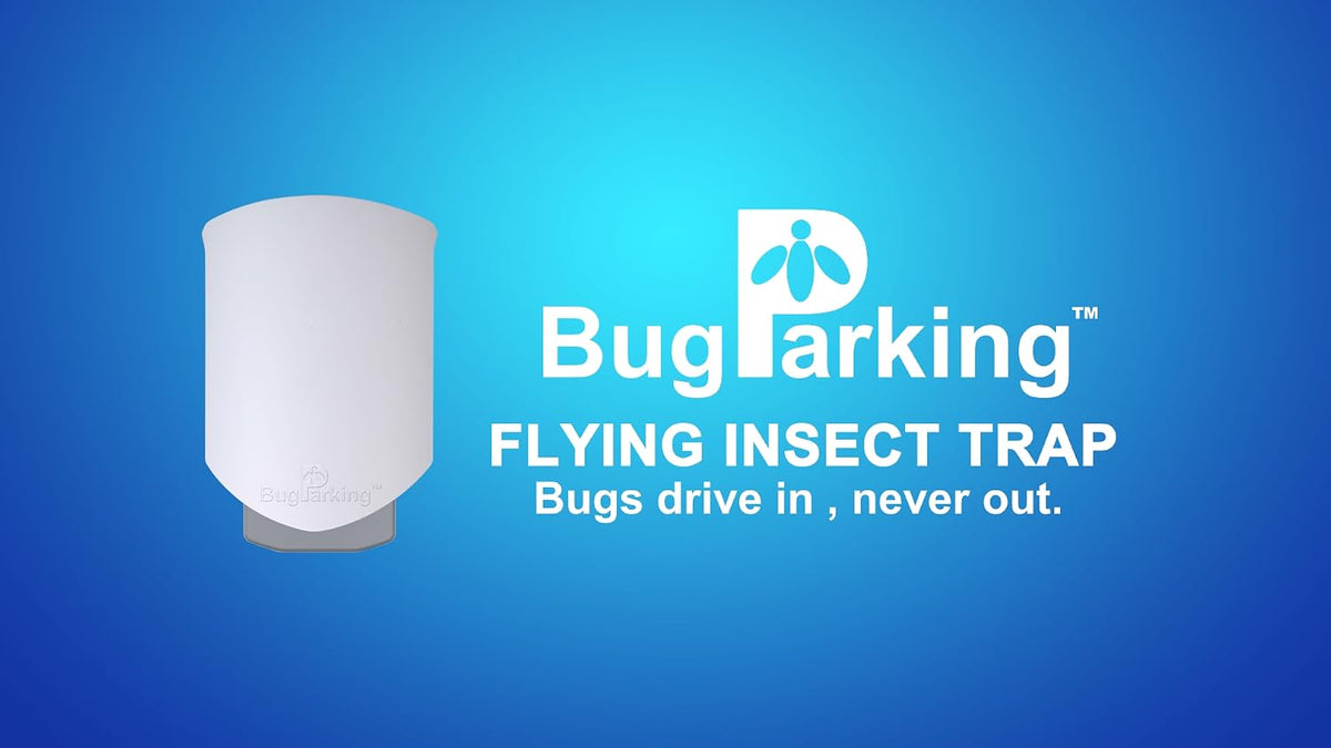 Flying Insect Trap for Fruit Flies,Gnats,1 Devices & 3 Refills